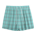 Blue White And Red Tattersall Print Mesh Shorts