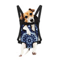 Blue Winter Mandala Print Pet Carrier Backpack
