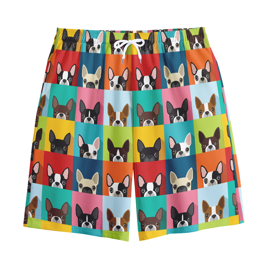 Boston Terrier Puppy Faces Print Cotton Shorts