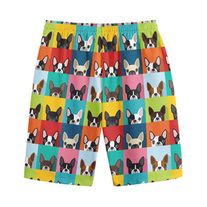 Boston Terrier Puppy Faces Print Cotton Shorts