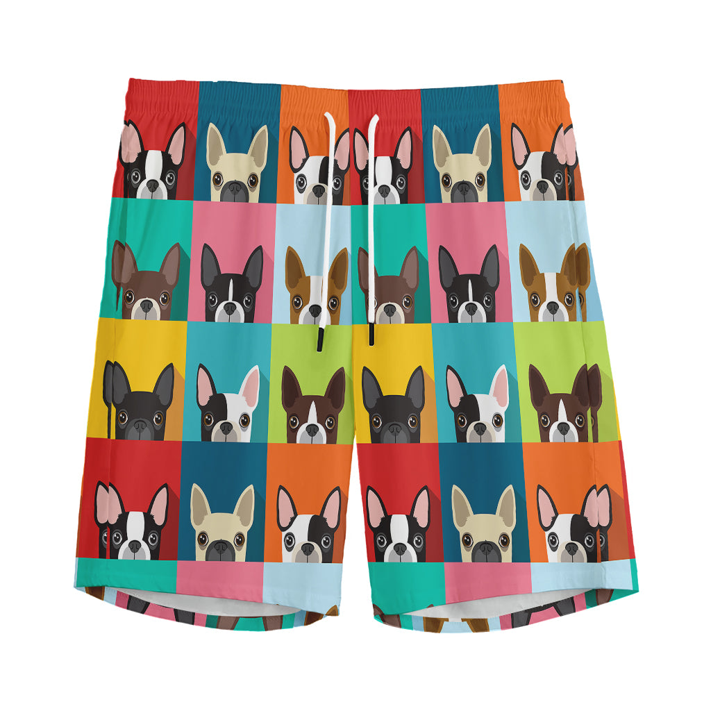 Boston Terrier Puppy Faces Print Men's Sports Shorts