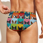 Boston Terrier Puppy Faces Print Men's Swim Briefs