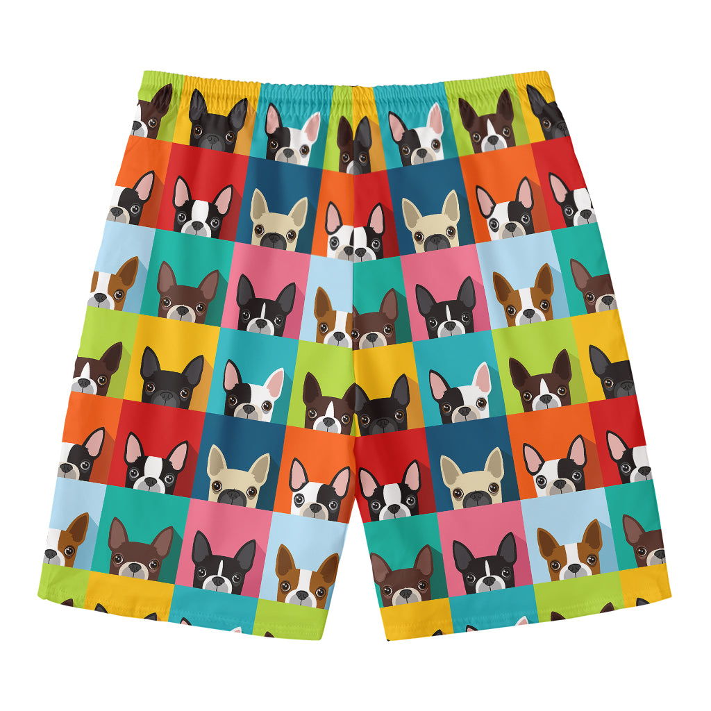 Boston Terrier Puppy Faces Print Men's Swim Trunks