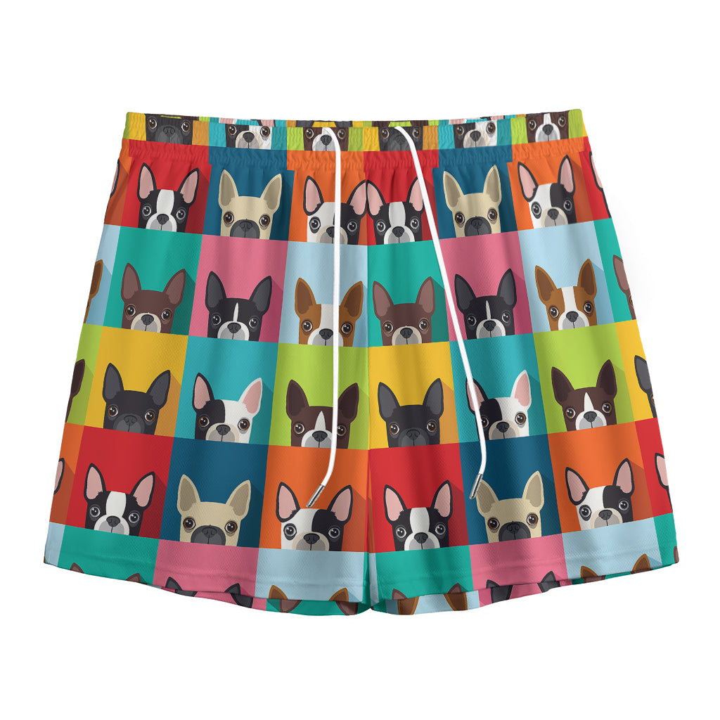 Boston Terrier Puppy Faces Print Mesh Shorts