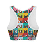 Boston Terrier Puppy Faces Print Women's Sports Bra