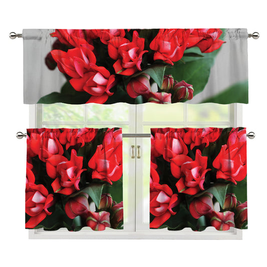 Bouvardia Flower Print 3 Piece Kitchen Curtains