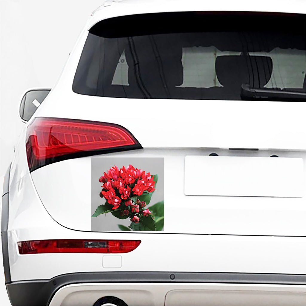 Bouvardia Flower Print Car Sticker