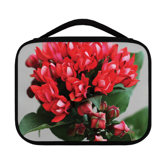 Bouvardia Flower Print Classic Bible Case
