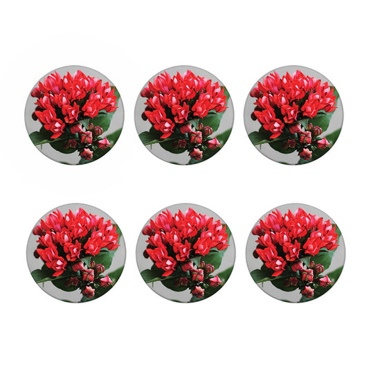 Bouvardia Flower Print Coaster Set