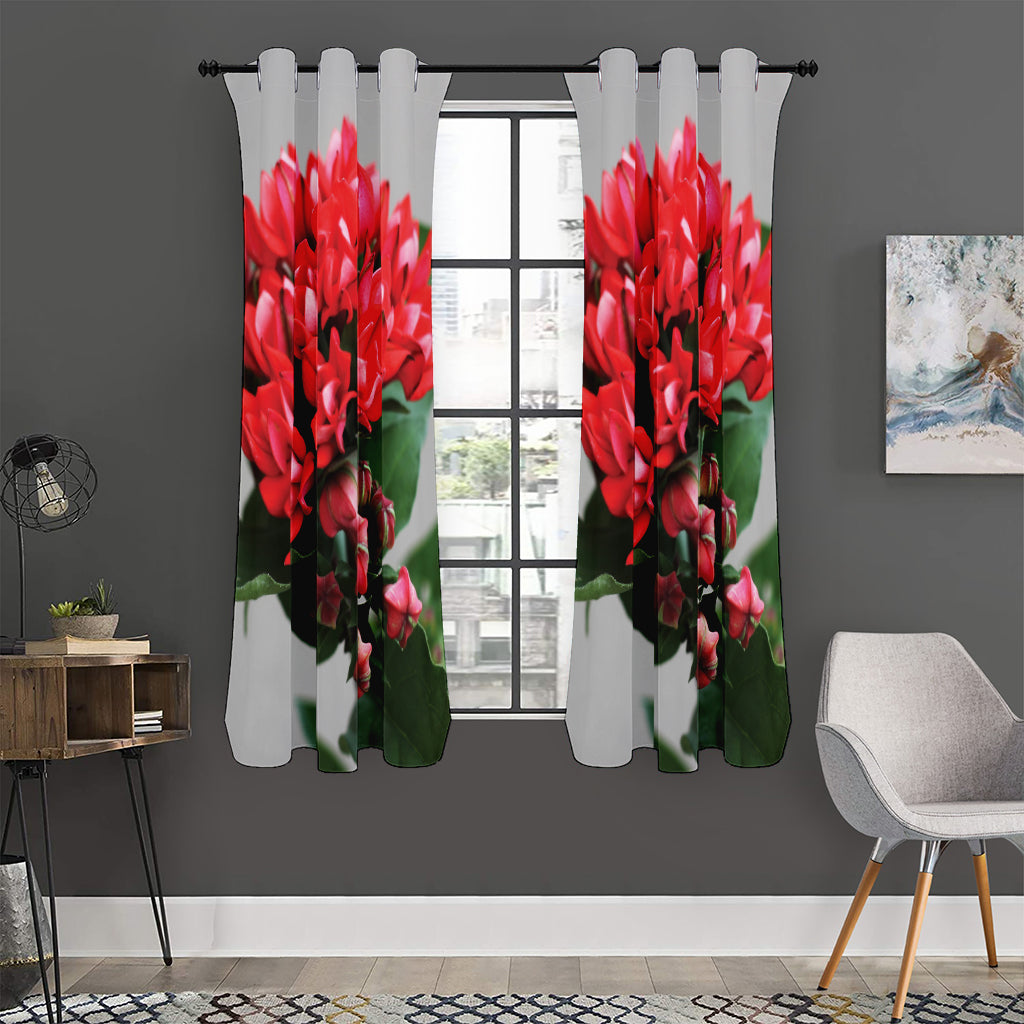 Bouvardia Flower Print Curtain