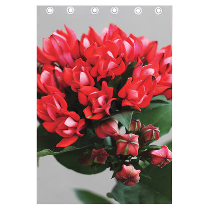 Bouvardia Flower Print Curtain