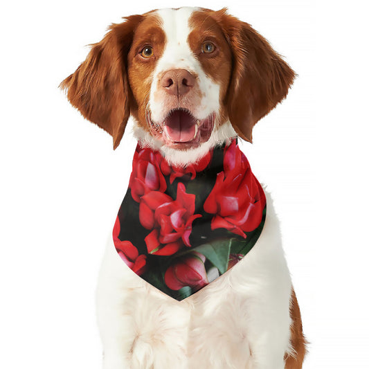 Bouvardia Flower Print Dog Bandana