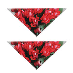 Bouvardia Flower Print Dog Bandana