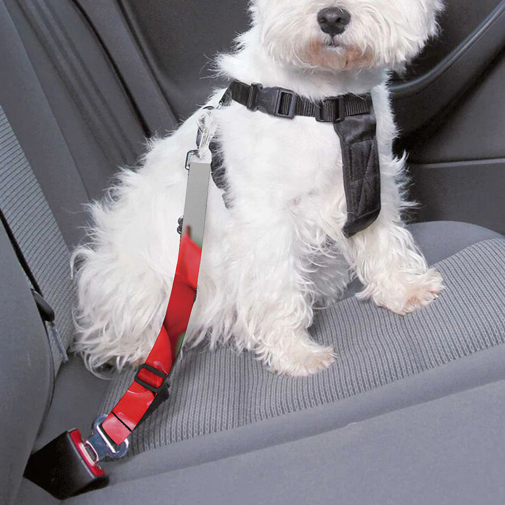 Bouvardia Flower Print Dog Seat Belt
