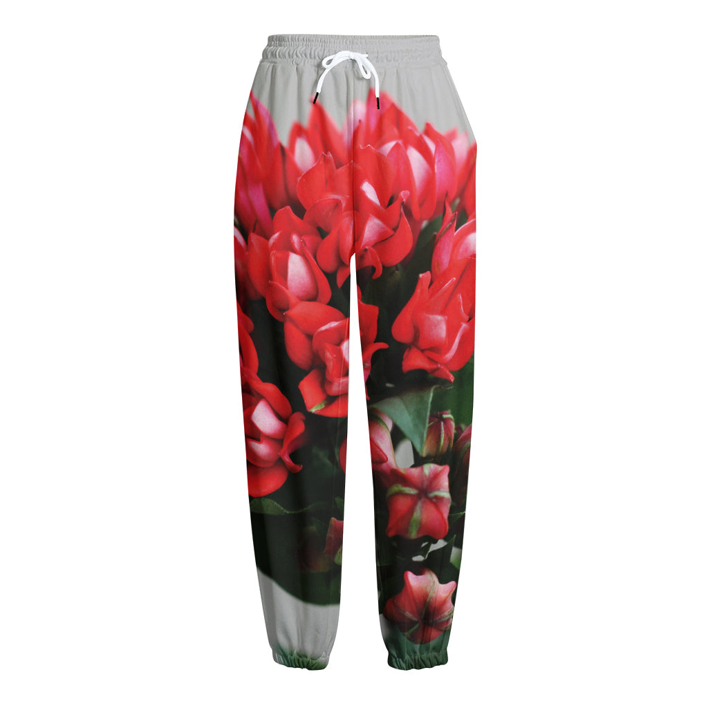 Bouvardia Flower Print Fleece Lined Knit Pants