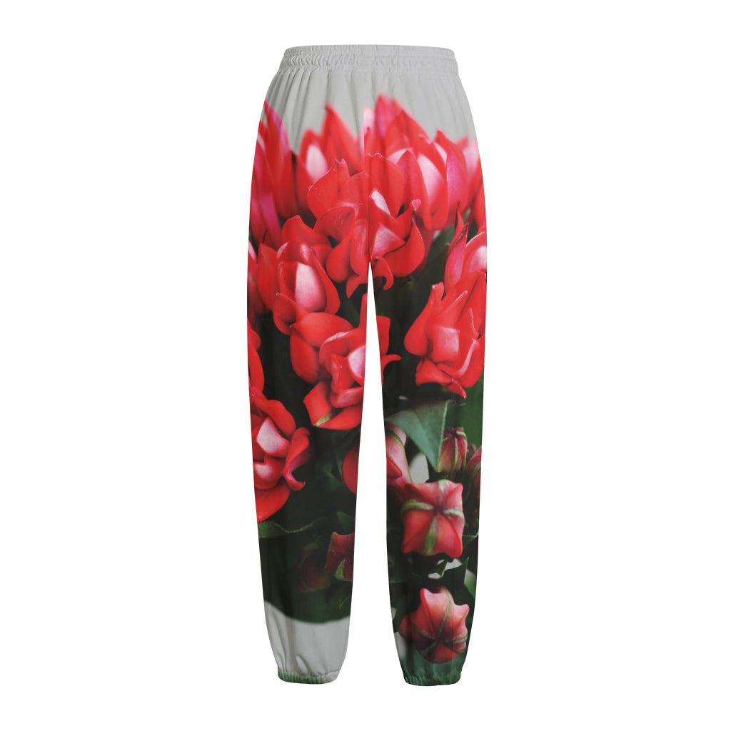 Bouvardia Flower Print Fleece Lined Knit Pants