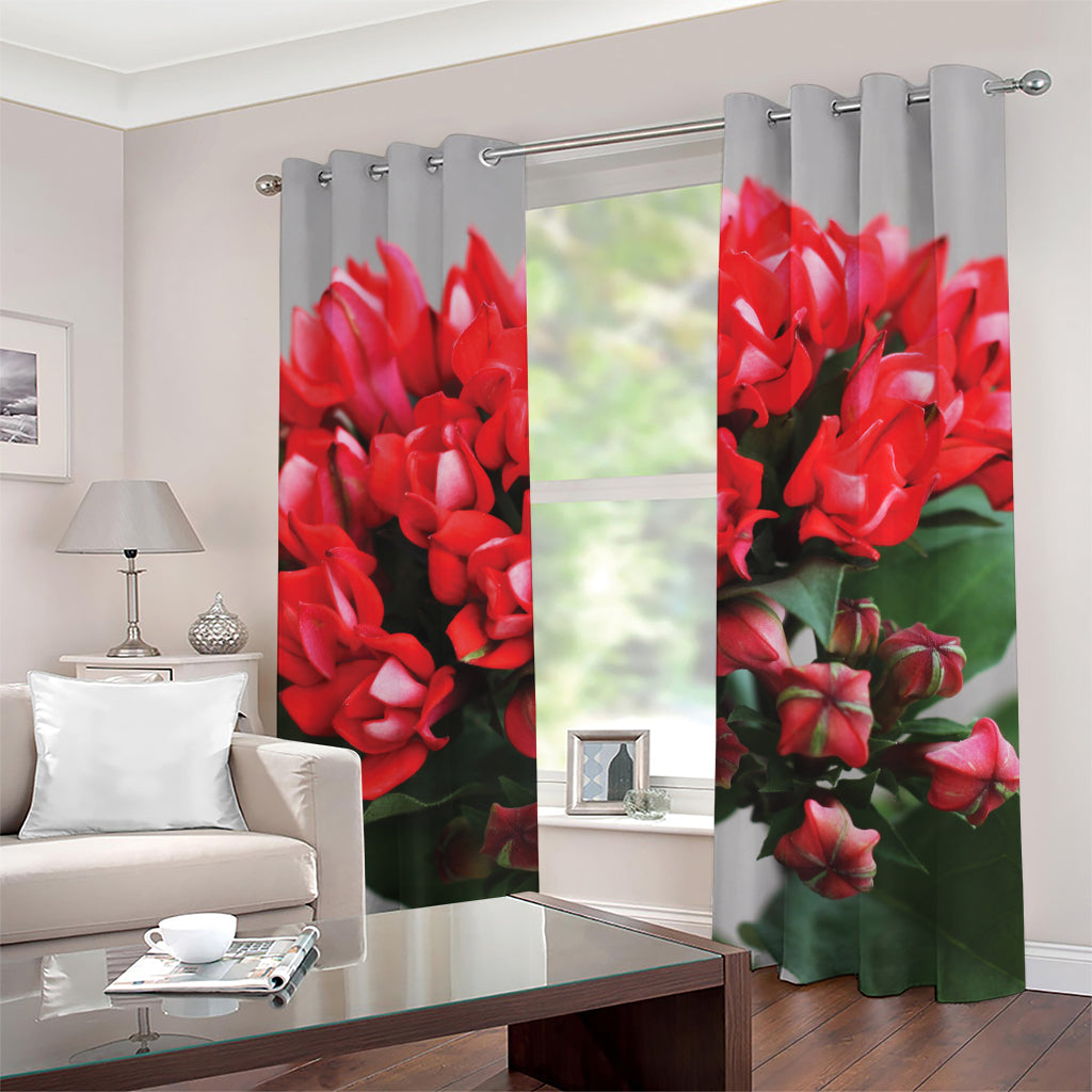 Bouvardia Flower Print Grommet Curtains