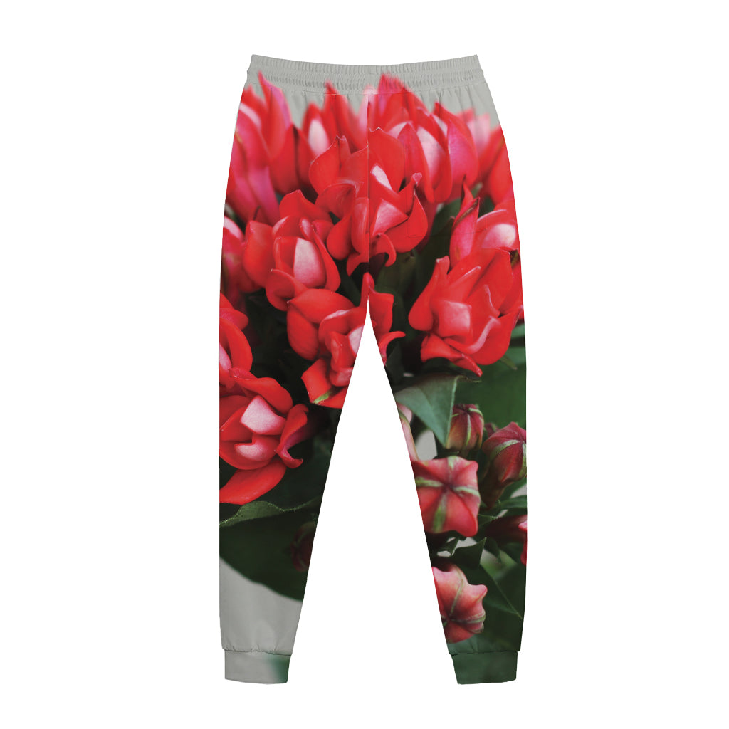 Bouvardia Flower Print Jogger Pants