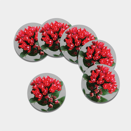 Bouvardia Flower Print Leather Coaster Set