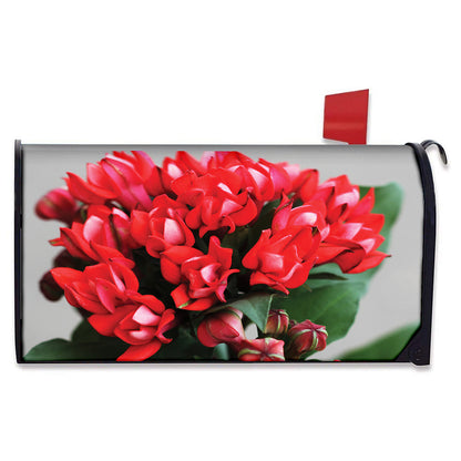 Bouvardia Flower Print Mailbox Cover