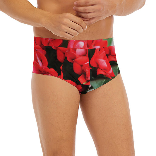 Bouvardia Flower Print Men's Briefs