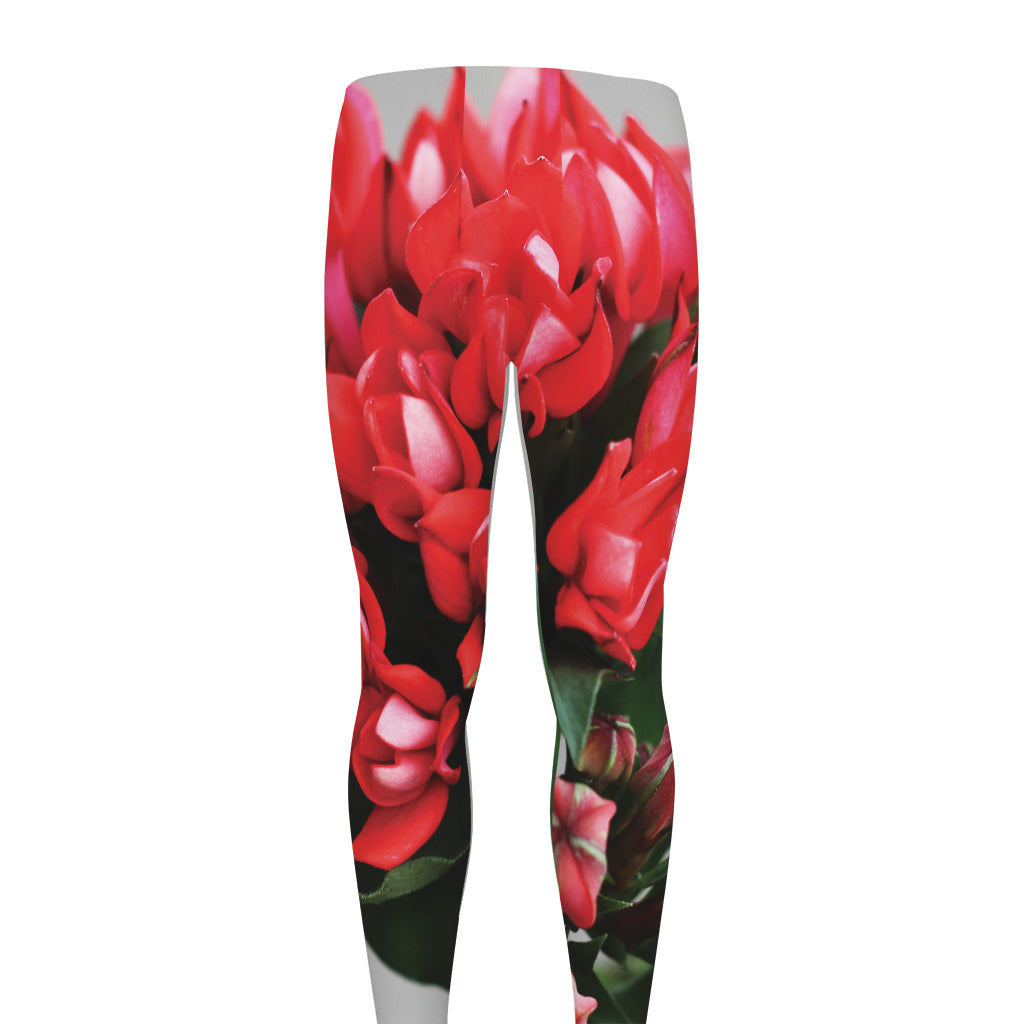 Bouvardia Flower Print Men's leggings