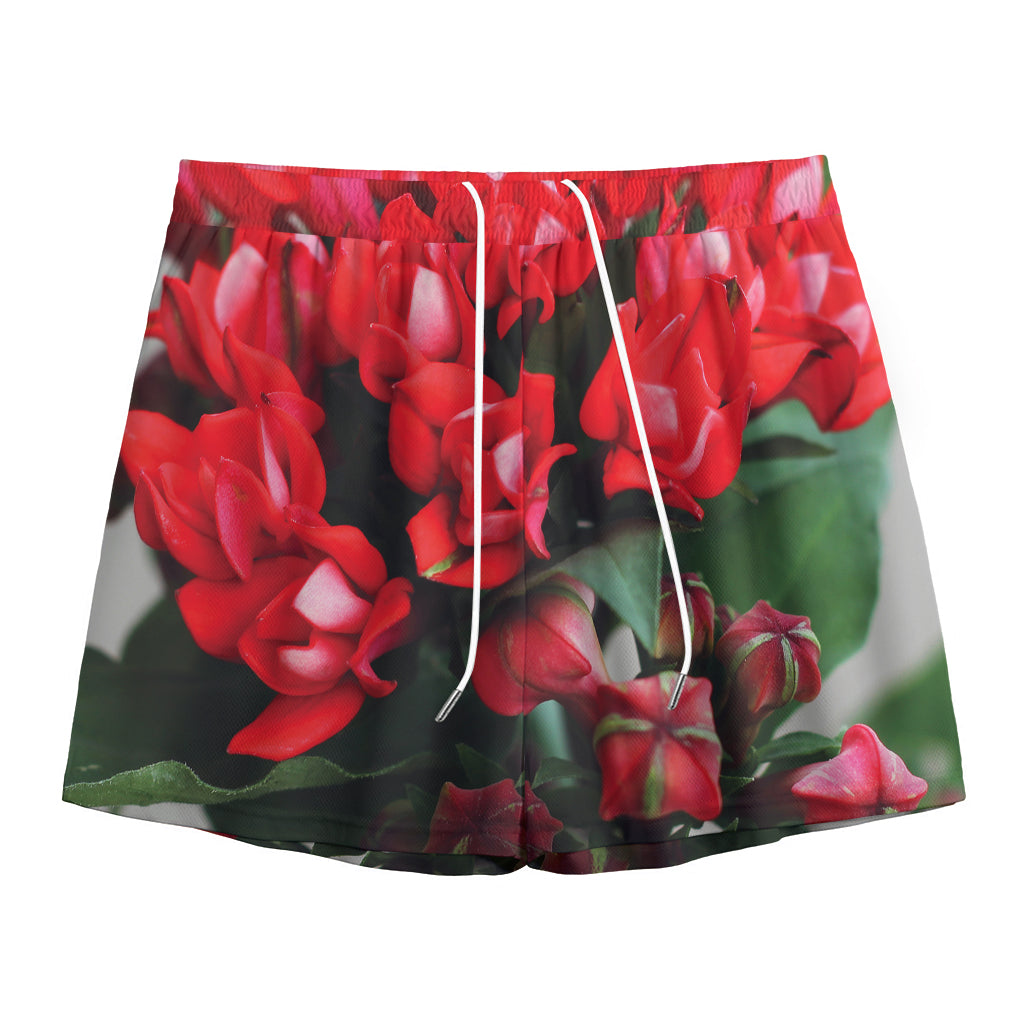 Bouvardia Flower Print Mesh Shorts