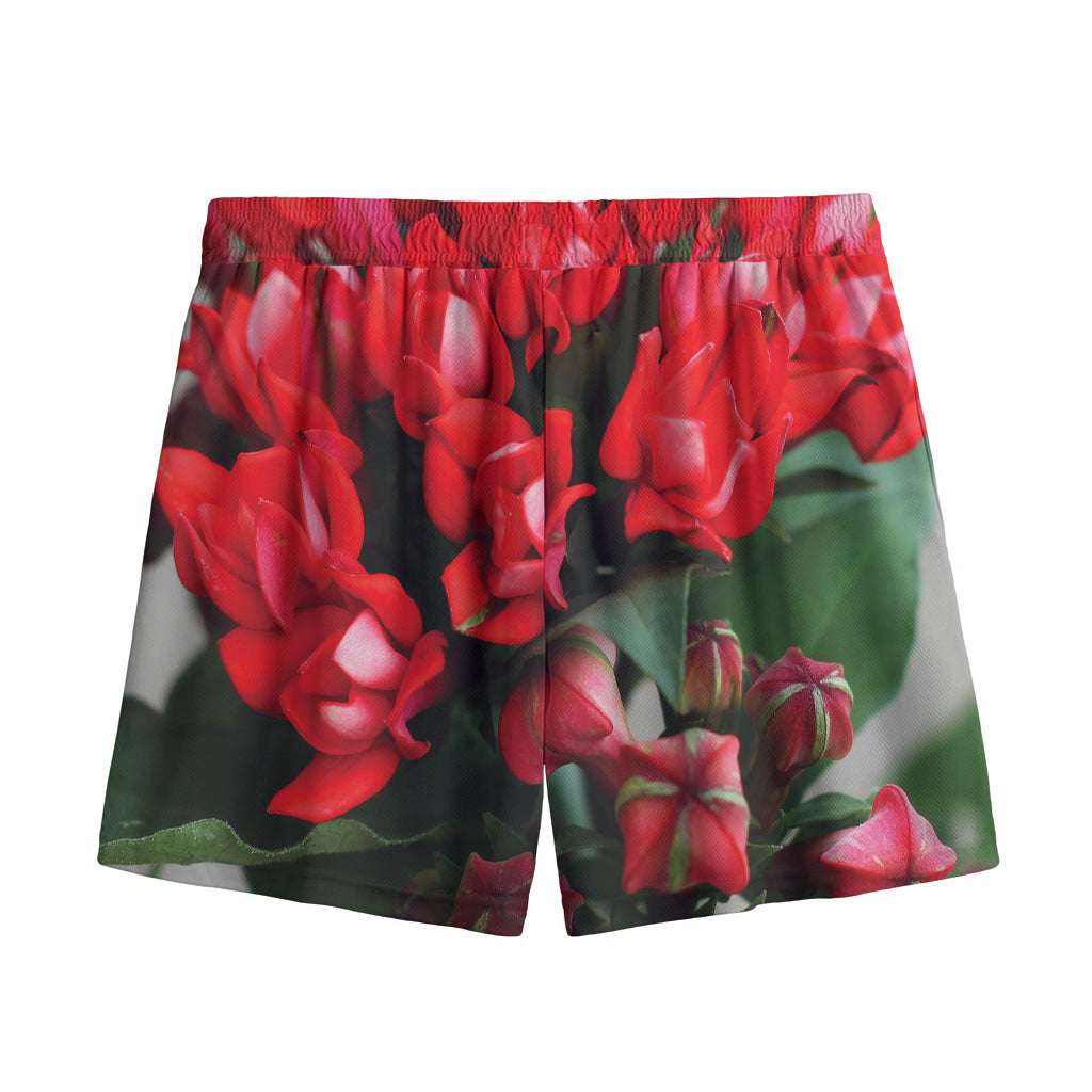 Bouvardia Flower Print Mesh Shorts