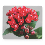 Bouvardia Flower Print Mouse Pad