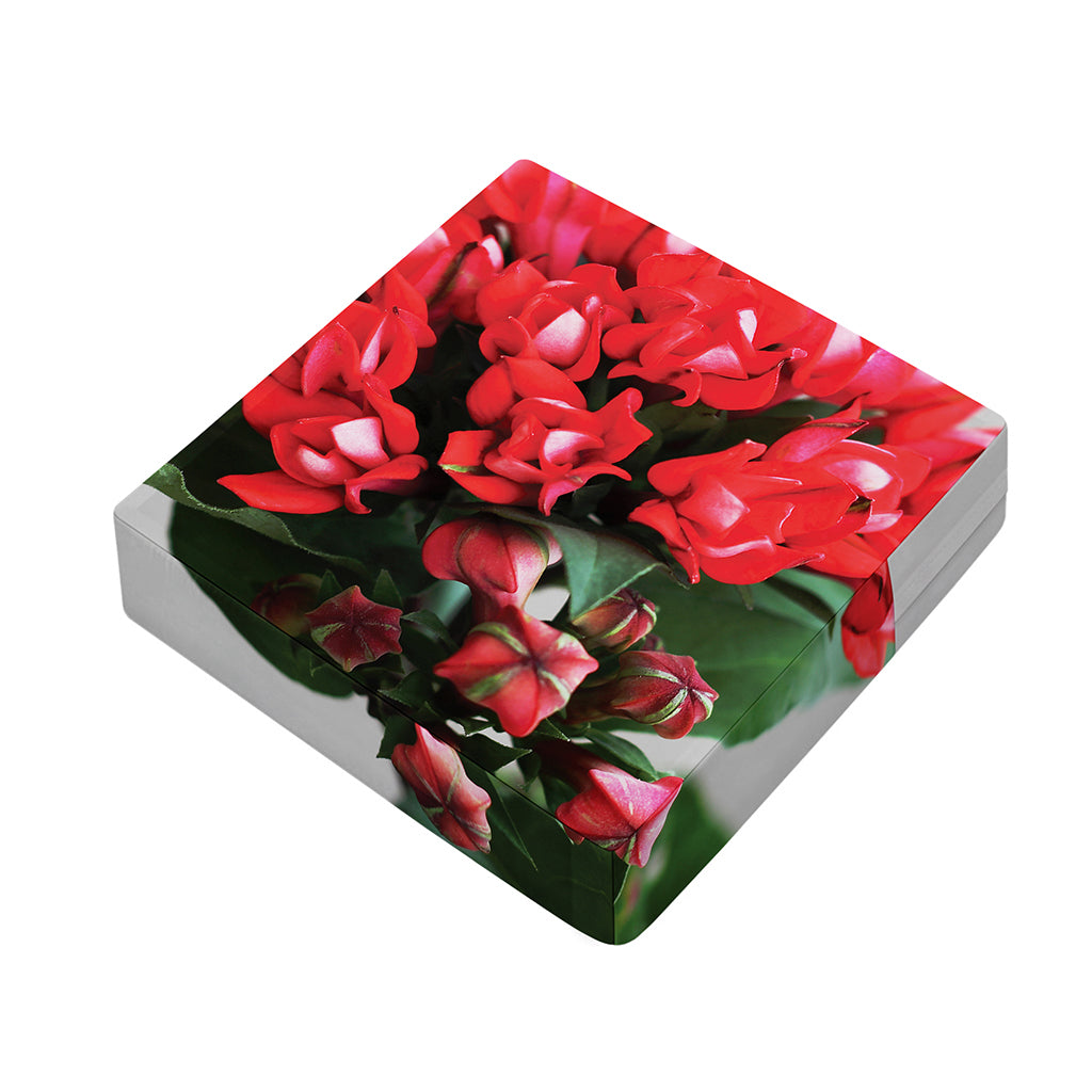 Bouvardia Flower Print Outdoor Seat Cushion Cover