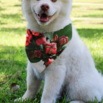 Bouvardia Flower Print Over The Collar Dog Bandana