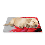 Bouvardia Flower Print Pet Cooling Mat Cover