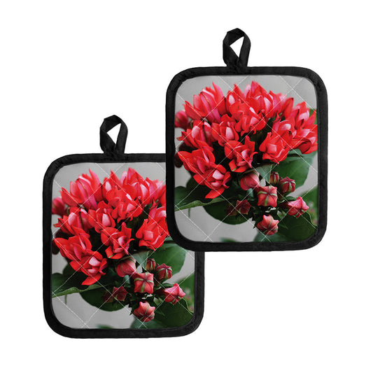 Bouvardia Flower Print Pot Holders