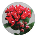 Bouvardia Flower Print Round Blanket
