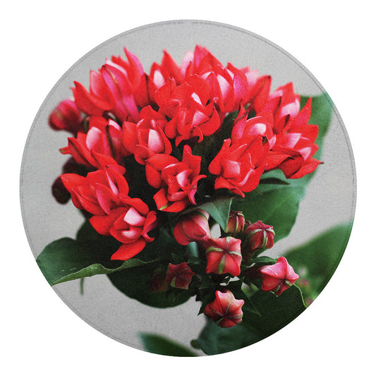 Bouvardia Flower Print Round Blanket