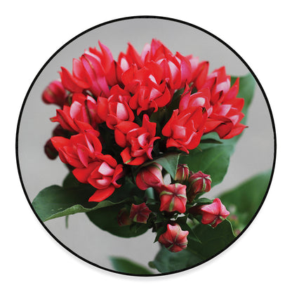 Bouvardia Flower Print Round Floor Mat