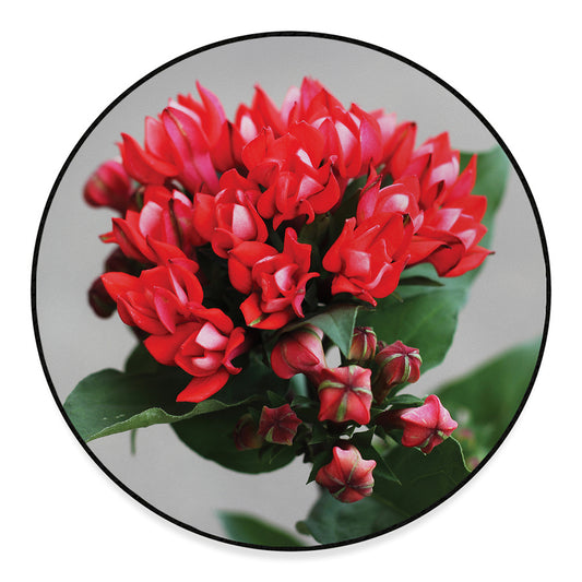 Bouvardia Flower Print Round Floor Mat