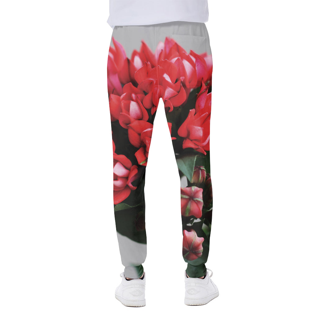Bouvardia Flower Print Scuba Joggers