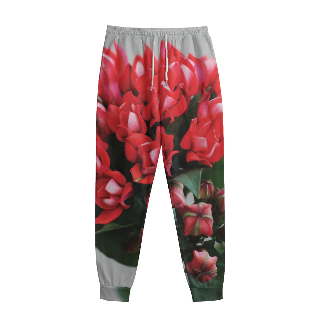 Bouvardia Flower Print Sweatpants