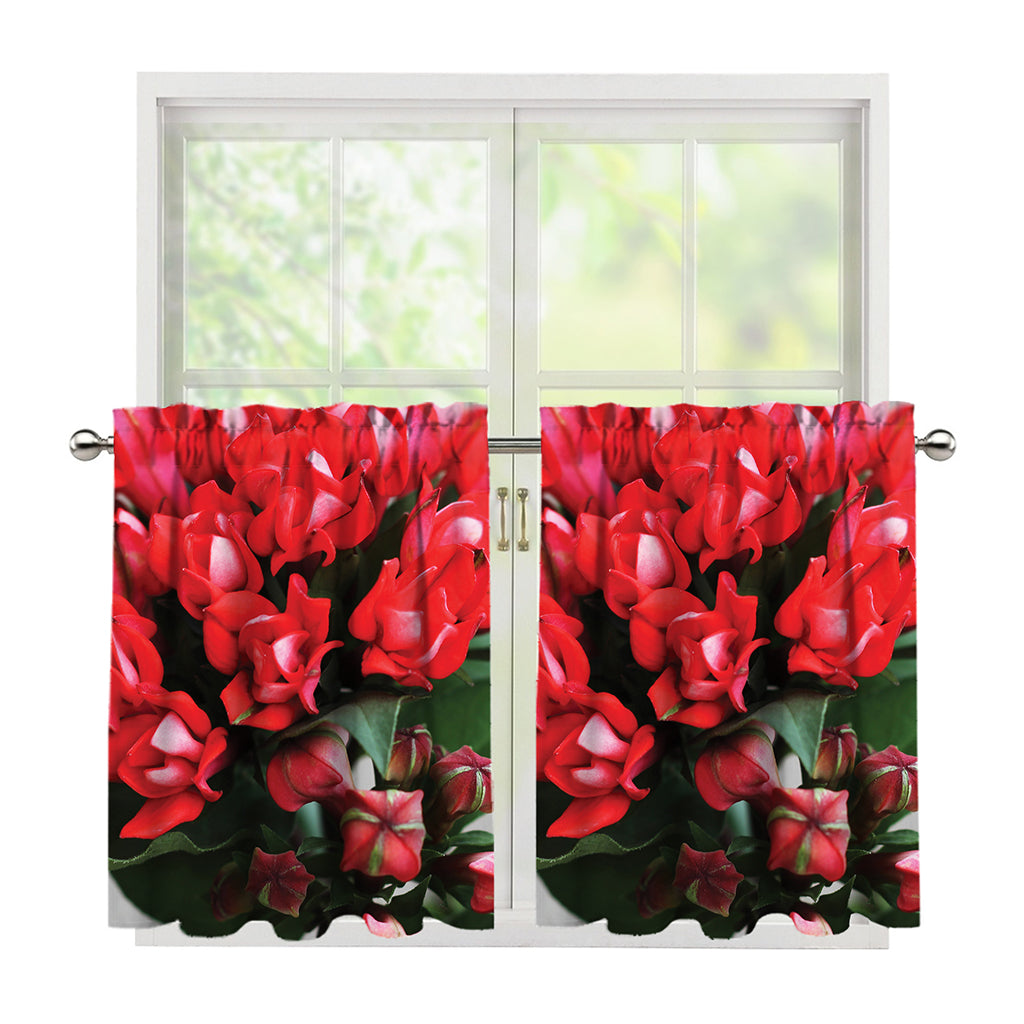 Bouvardia Flower Print Tier Curtains