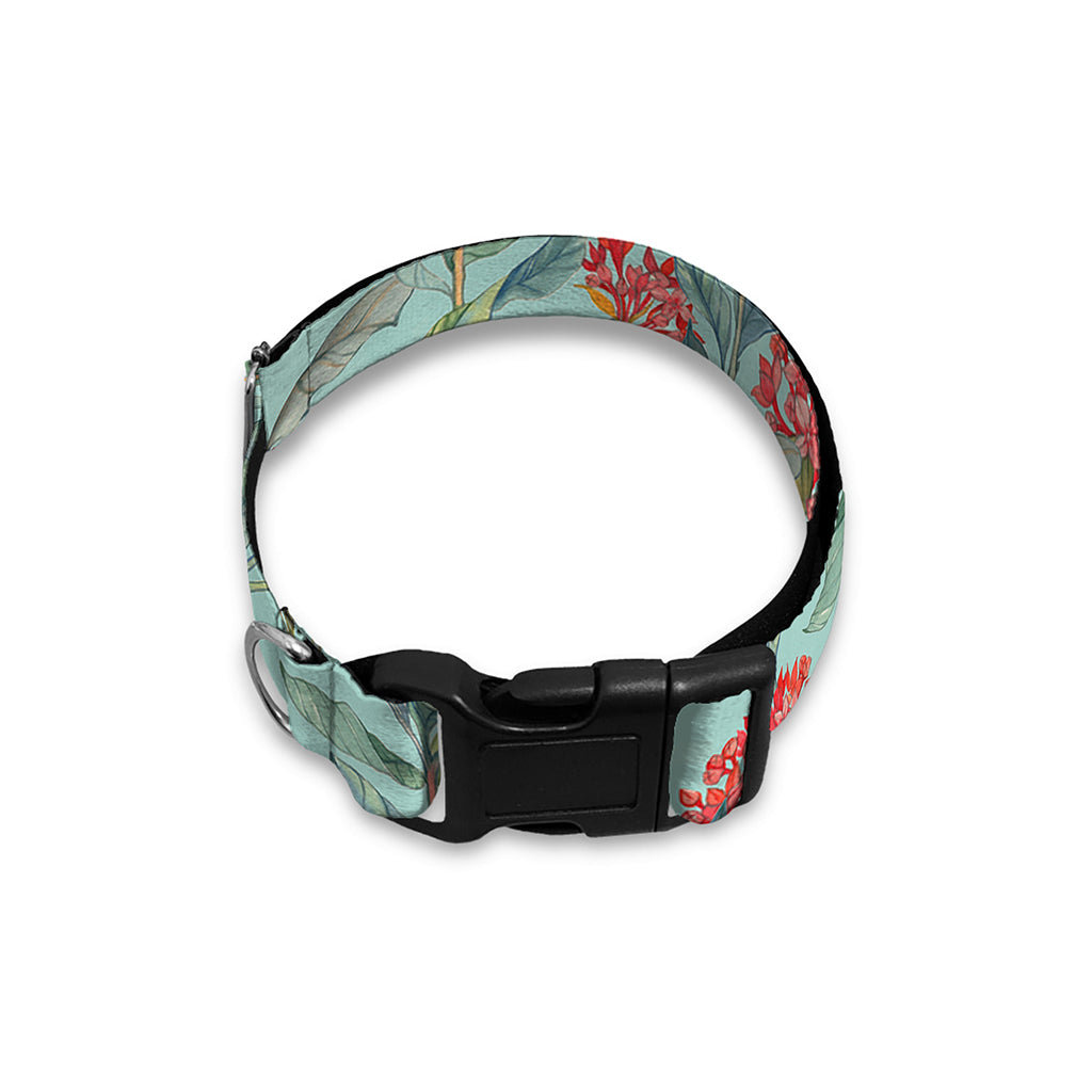 Bouvardia Pattern Print Dog Collar