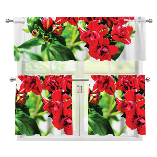 Bouvardia Plant Print 3 Piece Kitchen Curtains