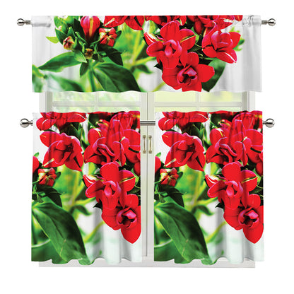 Bouvardia Plant Print 3 Piece Kitchen Curtains