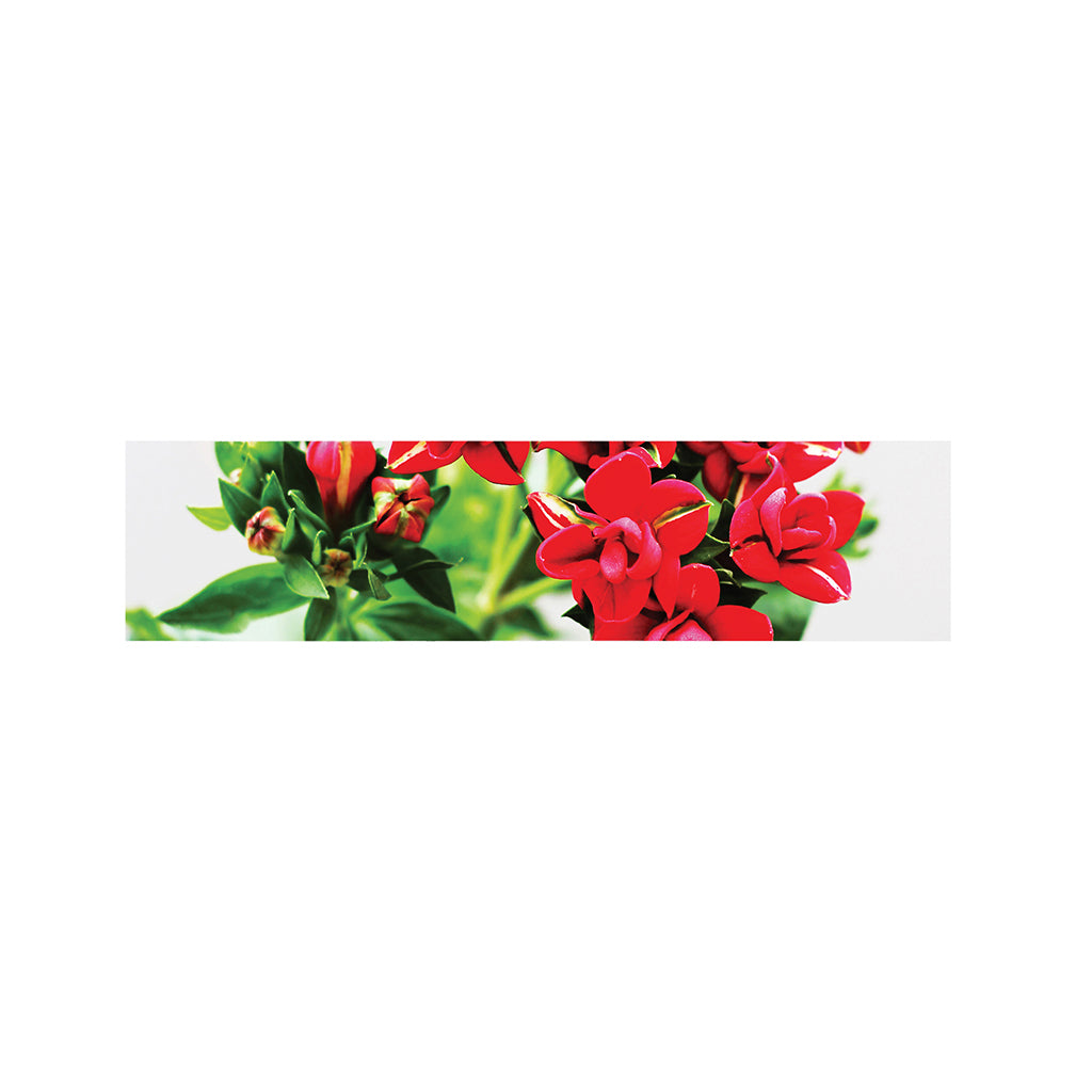 Bouvardia Plant Print Bed Runner