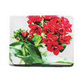 Bouvardia Plant Print Bifold Wallet