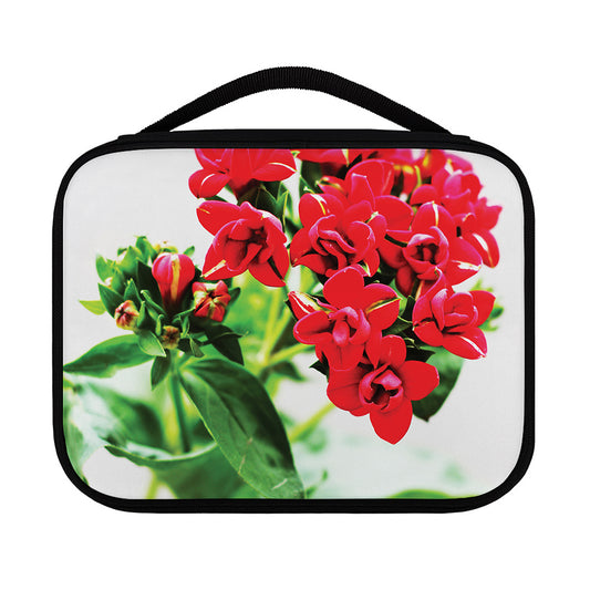 Bouvardia Plant Print Classic Bible Case