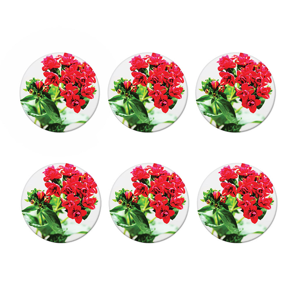 Bouvardia Plant Print Coaster Set