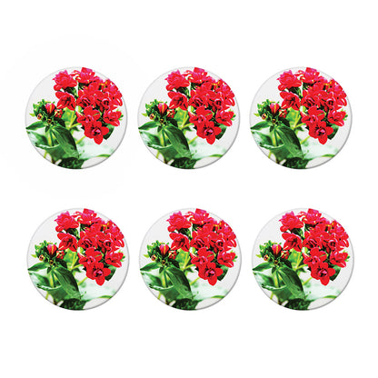Bouvardia Plant Print Coaster Set