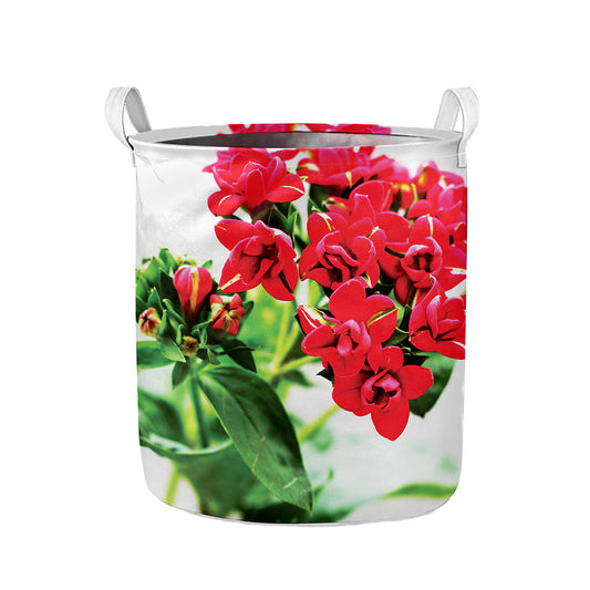 Bouvardia Plant Print Collapsible Laundry Basket