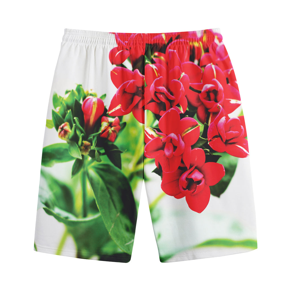 Bouvardia Plant Print Cotton Shorts